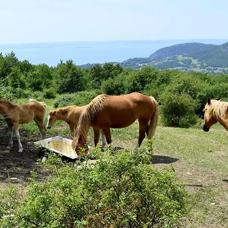 Casa Betulla 3*