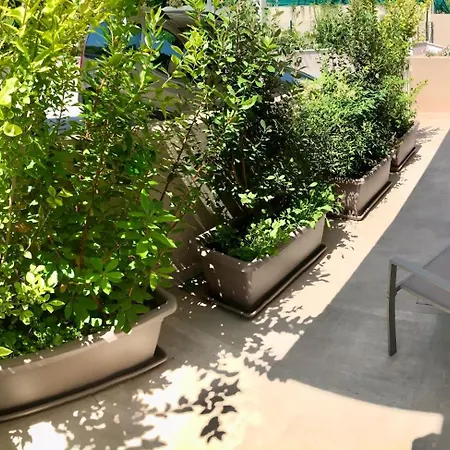 게스트하우스 Casa Betulla 3*